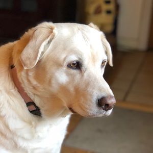 Meet your Posher, Pamala